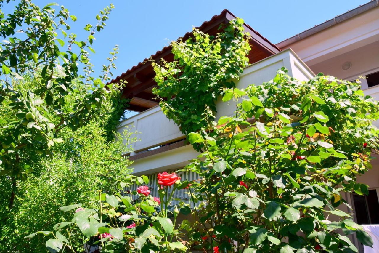 Villy City Apartment Palit Extérieur photo